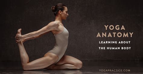 Yoga Anatomy Expand Your Practice By Learning About The Human Body