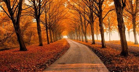30 Mind Blowing Fall Photos For This Autumn Glazemoo