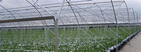 Greenhouse gardening in autumn and winter is a lot different from spring and summer.if you didn't know this, then now might be a good time to know which. High Tunnel Crop Protector | Commercial Greenhouse ...