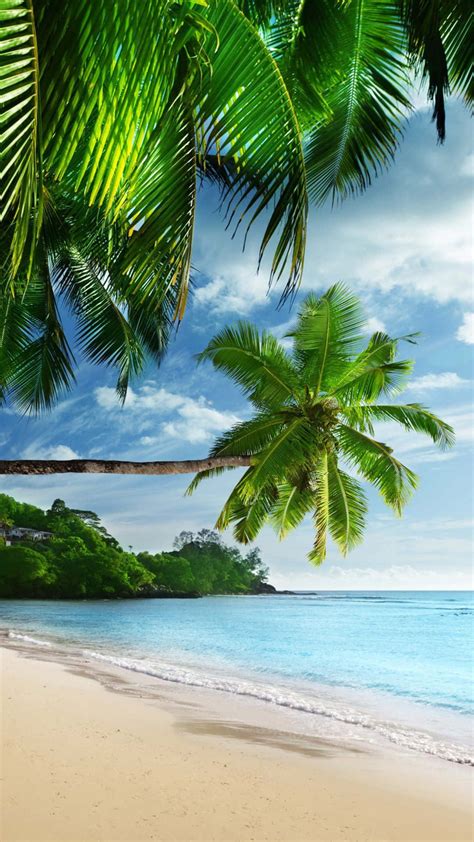 Download Relaxing Tropical Iphone Beach Paradise Wallpaper