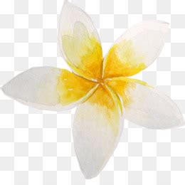 Gambar bunga melati indah dan wangi kumpulan gambar sumber : Gambar Bingkai Jendela Motif Bunga - Tangan-dicat lily unduh gratis - 2918*2044,4.34 MB gambar png