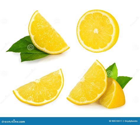 Lemon Slice Isolated On White Stock Image Image Of Stem Sliced 90515511
