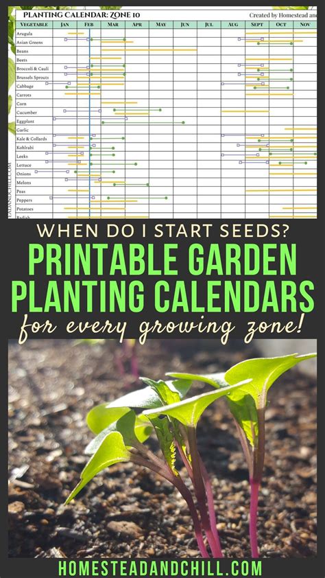 When To Start Seeds Garden Planting Calendars For Every Zone