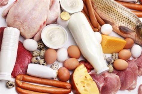Диета белковая магги скачать бесплатно