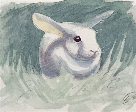 Sold Aceo Bunny Rabbit Watercolor Painting Original Art Card Originals