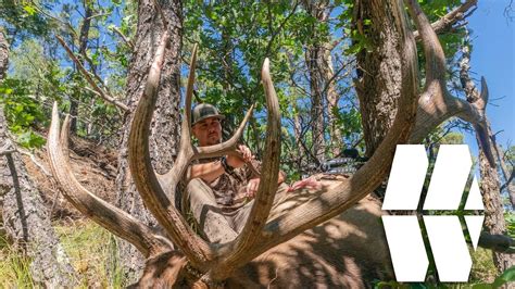 Huge Archery Elk In New Mexico Mwo S1e14 Youtube