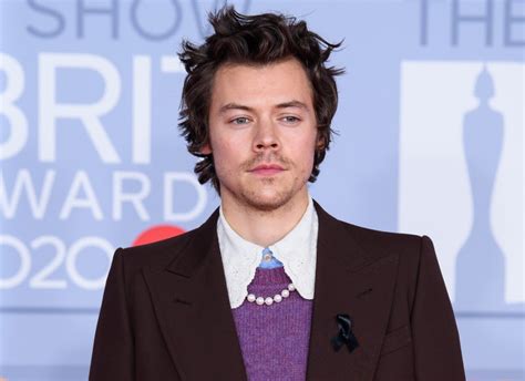 Harry Styles Clapped Back At Candace Owens Manly Men Comment In The