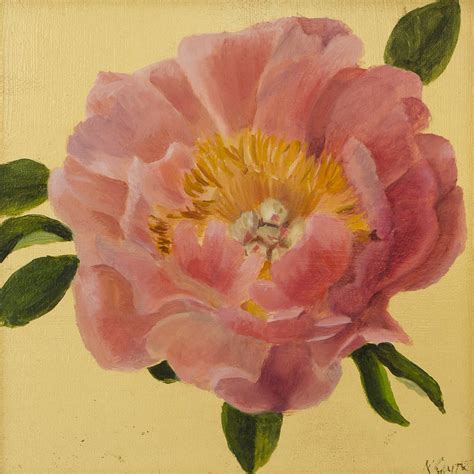 Antiques Atlas Coral Peony By Nicola Currie
