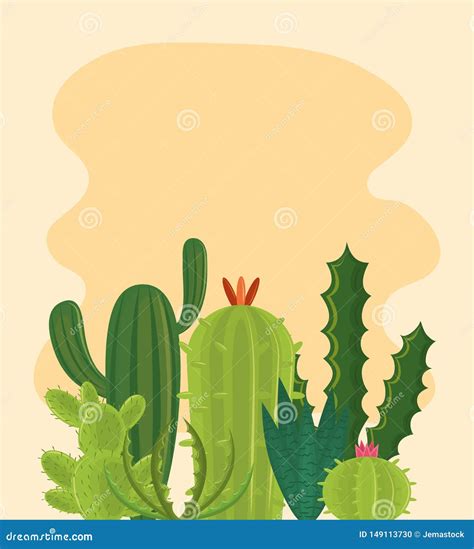 Cactus Succulents Species Cartoons Stock Vector Illustration Of