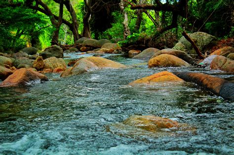 A River Of Flowing Water Pixahive