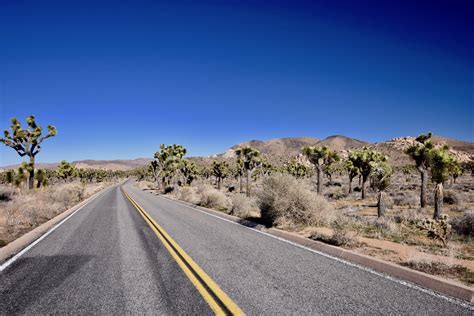 Joshua Tree National Park Two Beautiful Deserts The Maritime Explorer