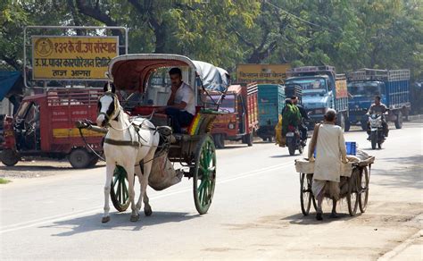 Some modes of road transport , on a road in India