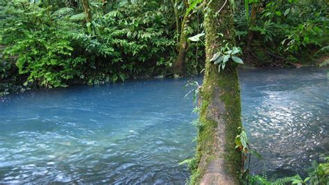 Where do you get blue dye from durban / mdc offers free introduction to turkey hunting clinic march 20 in blue springs | missouri. Where Does Rio Celeste Get Its Magical Blue Color From? | Costa rica hot springs, Hot springs ...