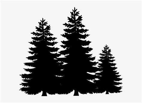 Svg Stock Evergreen Tree Line Clipart - Pine Tree Silhouette