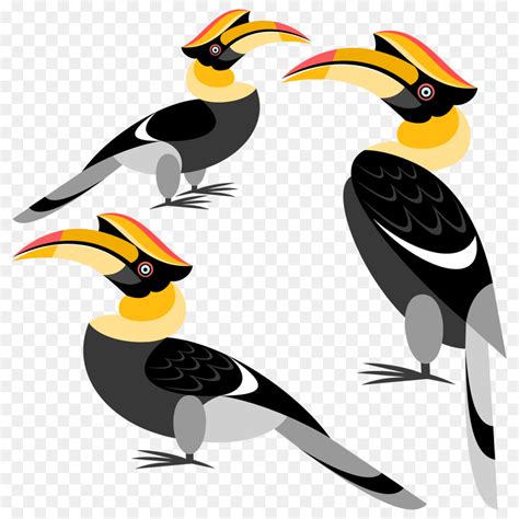 Burung Enggang Kartun Cute Cartoon Toucan Funny Cartoon Tropical Bird