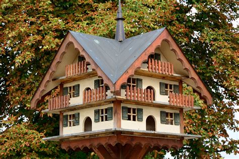 Um ein haus bauen zu konnen werden mindestens zwei anfangs und ein mittelstuck gebraucht. Vogelhaus selber bauen - Eigenschaften - Funktion - Form