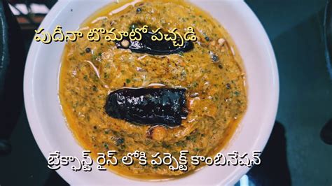 Tomato Pudina Chutney In Telugu Mint Tomato Pachadi Rice And