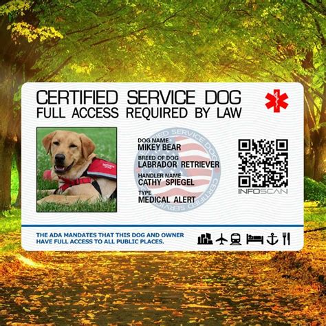 Pay for your checked bags online within 24 hours of departure for travel *except in cases noted in the chart, ticketing fees apply at all american airlines locations. Service Dog Id Card Customized Holographic ESA - ADA SEAL ...