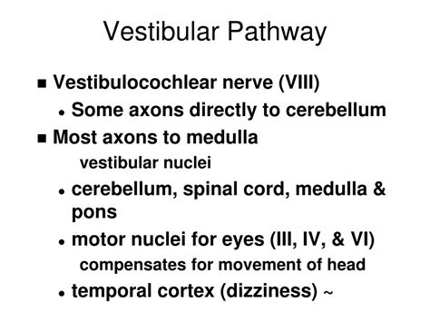 Ppt The Vestibular System Powerpoint Presentation Free Download Id