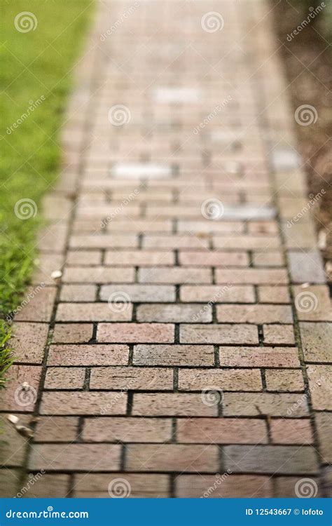 Red Brick Walkway Stock Image Image Of Rows Straight 12543667