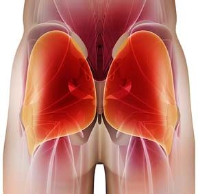 As seen in the diagram above, the gluteal muscles all originate on the pelvis at various points and then any injury to the glutes — and the pain is often continuous — will interfere with one's ability to. Unlock Your Glutes Review - Is The Program Worth It?