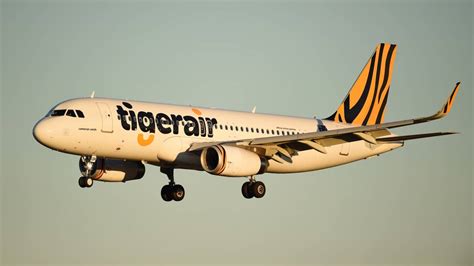 Worlds Cheapest Airline Tigerair Could Land In New Zealand As Parent