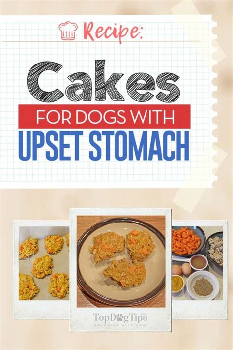 Best dog food for a senior dog with diarrhea? Recipe: Homemade Chicken & Rice Cakes for Dogs with Upset ...