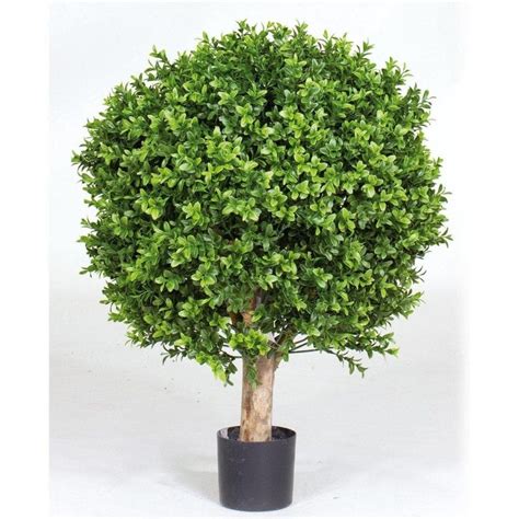 Artificial Topiary Buxus Ball Plant Ascend Plant Displays