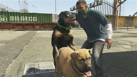 This Is Why We Love Gta V Dogs Animals Gta