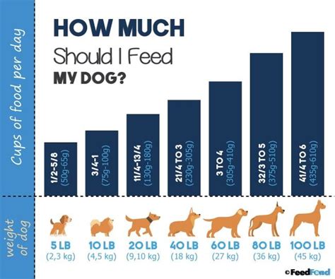 High quality foods are nutrient rich and give a puppy all they need from quite small amounts of food. How Much Should I Feed My Dog?- Puppy to Senior Feeding ...