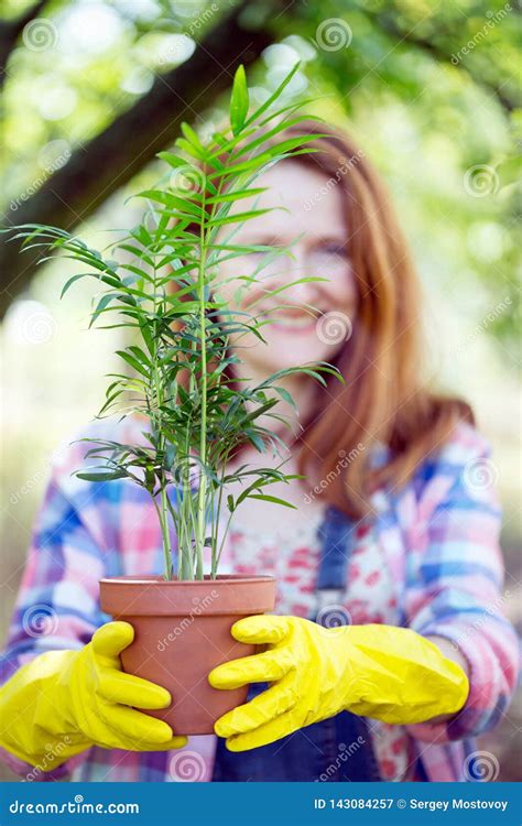 Girl Plants A Plant Stock Image Image Of Bright Grow 143084257