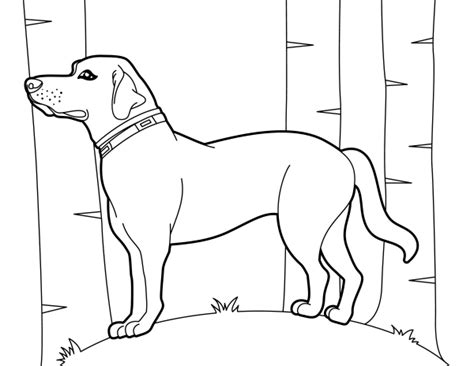 Free Printable Labrador Retriever Coloring Pages Free Printable Templates