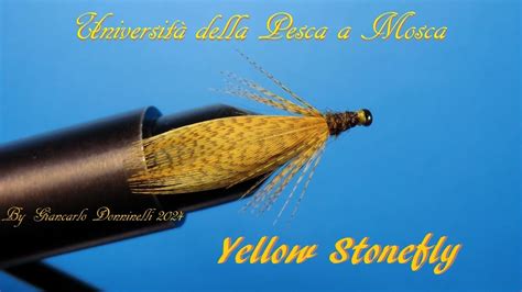 Yellow Stonefly By Giancarlo Donninelli Youtube