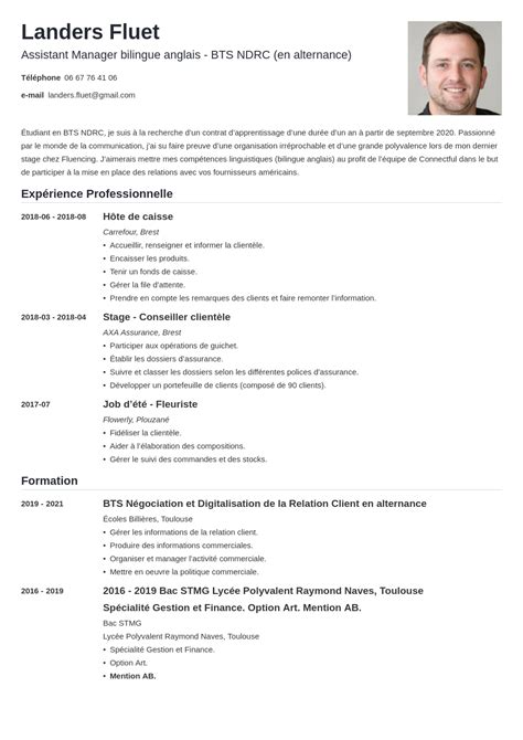 CV Alternance Exemple Pour Recherche De Contrat
