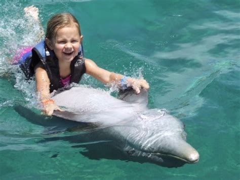 Dolphin Cove Know Jamaica Tours