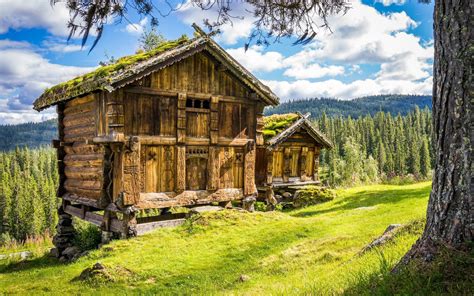 Download Wallpapers Forest Old Barn Mountains Norway