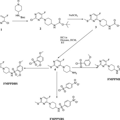 Synthetic Route And Chemical Structures Of Piperidine Derivatives