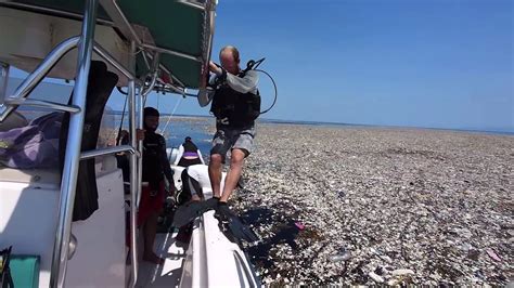 Floating Trash Island Spotted In Caribbean Sea Near Roatan Youtube