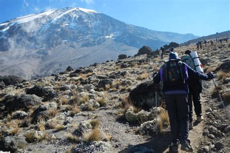 5 8 Days Mt Kenya And Mt Kilimanjaro Budget Hiking Safaris Climbing