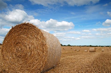 Bales Of Straw Straw Bales Hay Bales Photography Pictures Model