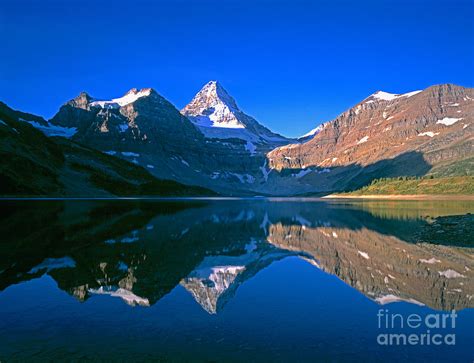 Mt Assiniboine On Magog Lake Photograph By Tracy Knauer Pixels