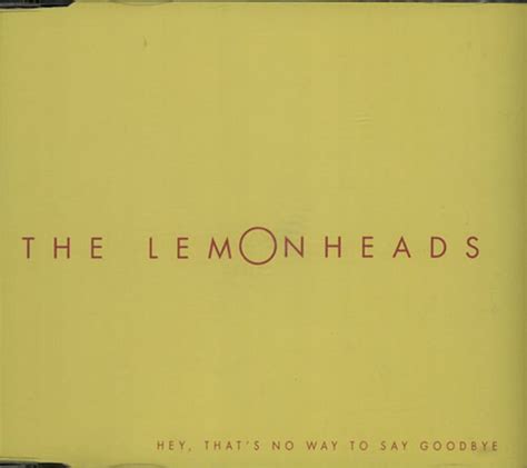 The Lemonheads Hey Thats No Way To Say Goodbye Uk Promo Cd R Acetate