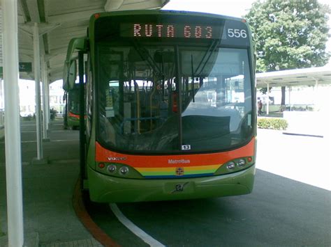 Metrobüs hatları ve metrobüs durakları. Metrobús (Caracas) - Wikipedia, la enciclopedia libre