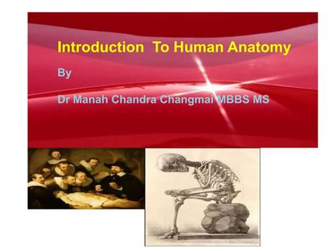 Introduction To Anatomy Ppt