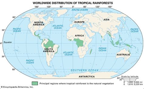 Countries Sharing The Amazon Rainforest Worldatlas