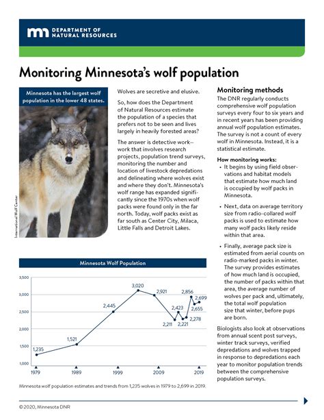 Mn Wolf Management Plan Update International Wolf Center