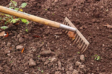How To Prepare Garden Soil For Planting In 7 Simple Steps