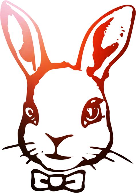 Hare Domestic Illustration Rabbit Easter Bunny Clipart Domestic