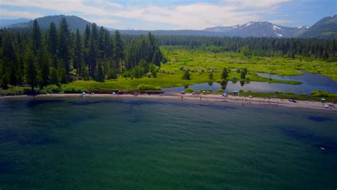 Forest On A Beach Landscape In Lake Tahoe Nevada Image Free Stock