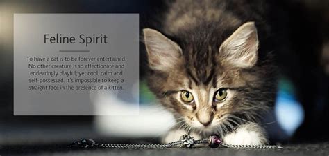 Feline Spirit Bracelet Feline Spirit Cats